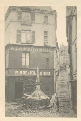 29. Angers. Montée Saint-Maurice. Fontaine Pied-Boulet