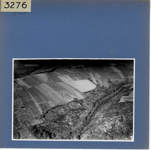 Beaulieu-sur-Layon : Vignoble, vue aérienne