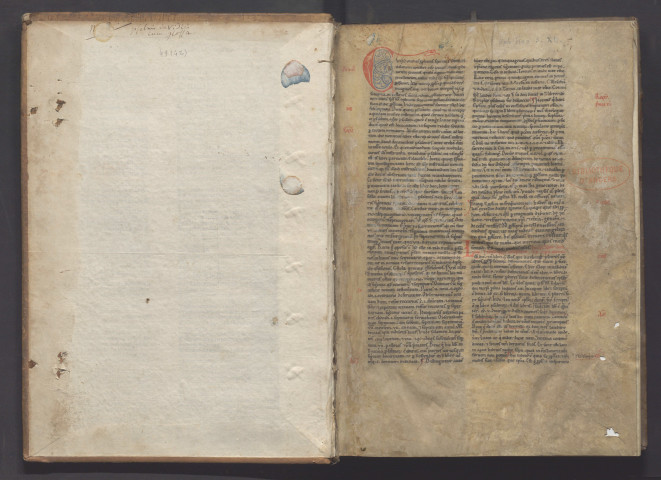 Commentaire sur les psaumes (jusqu'au psaume LXXXIII). Derniers mots commentés : « Deus gratiam et gloriam dabit... » (Ps. LXXXIII, 12)