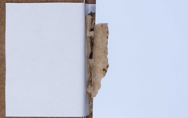 Fragment de psautier (XIIIe ou XIVe siècle)