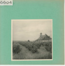 Rochefort-sur-Loire : Vignoble angevin, Moulin de Piégüe