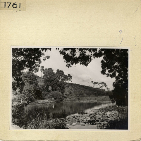 Angers : Parc de La Haye
