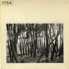 Angers : Parc de La Haye