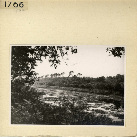Angers : Parc de La Haye, étang Saint-Nicolas
