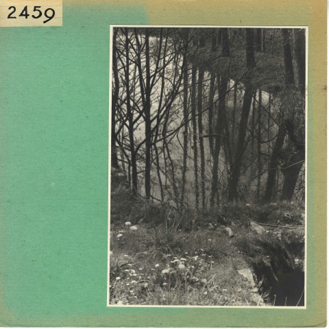 Anjou : L'Evre, à Courossé