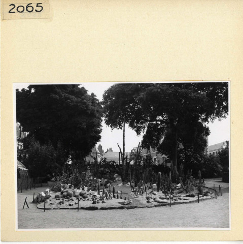 Angers : Jardin des Plantes