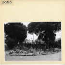 Angers : Jardin des Plantes