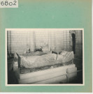 Fontevraud : Abbaye, buste d'Aliénor d'Aquitaine (gisant)