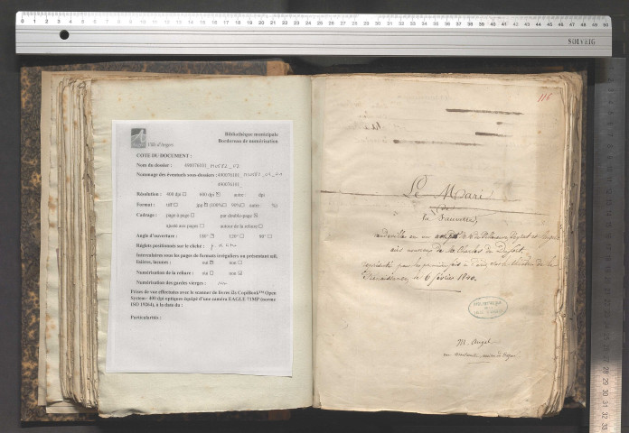 Le mari de la fauvette