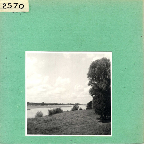 Saint-Mathurin-sur-Loire : La Loire