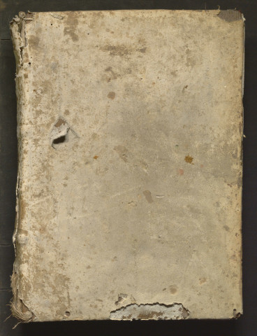 « Primus Phisicorum canonici incipit feliciter. Venite ad me, omnes qui laboratis... Quod (sic) et quantos fructus scientiarum notitia... »