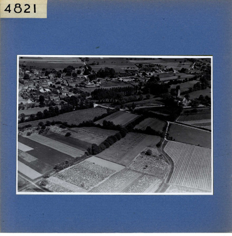 Tigné : Le bourg (vue aérienne)