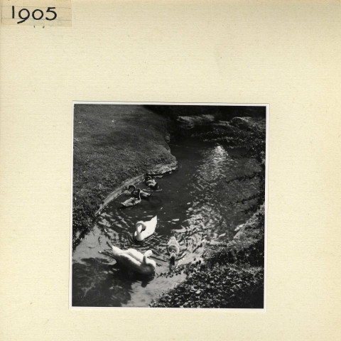 Angers : Jardin des Plantes