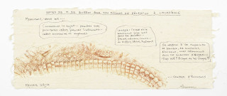 Notes de M. de Buffon pour son discours de réception à l'Académie