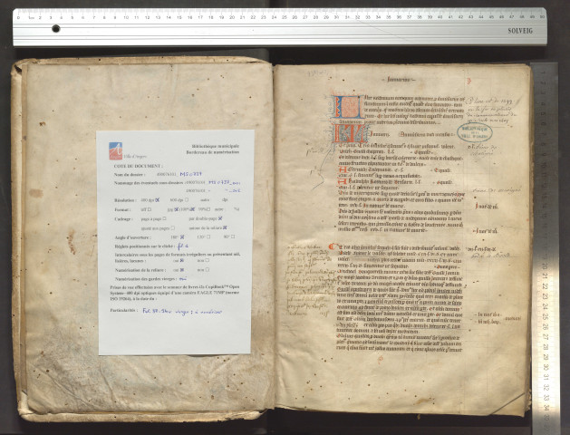 « Liber reddituum antiquorum, ordinatorum pro anniversariis defunctorum, in ecclesia Andegavensi quolibet anno faciendorum, tam de antiquis quam modernis libris dictorum anniversariorum extractorum »
