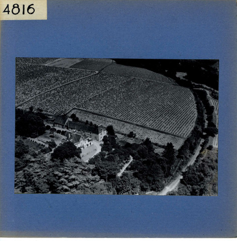 Rochefort-sur-Loire : Belle rive (vue aérienne)