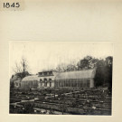 Angers : Jardin des Plantes, serre