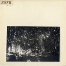 Angers : Esvière (Vieil Angers)