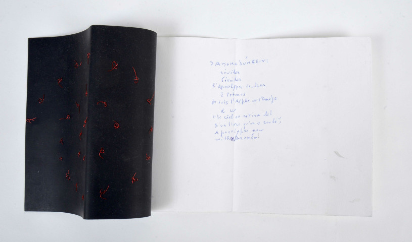 [Révéler, dévoiler l'Apocalypse de Jean]