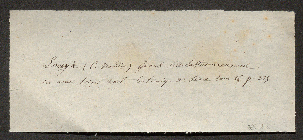 Lorey, Félix Nicolas