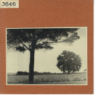 Savennières : Château La Bizolière