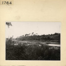 Angers : Parc de La Haye, étang Saint-Nicolas