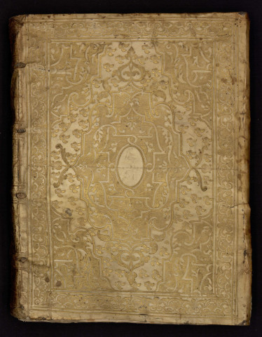 Commentarii in leges Marchiae municipales...