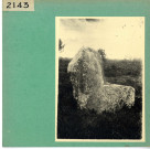 Anjou : Pierre du Coq dans la forêt