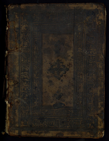 Commentarii Petri Tatareti in libros philosophie naturalis et metaphysice Aristotelis...