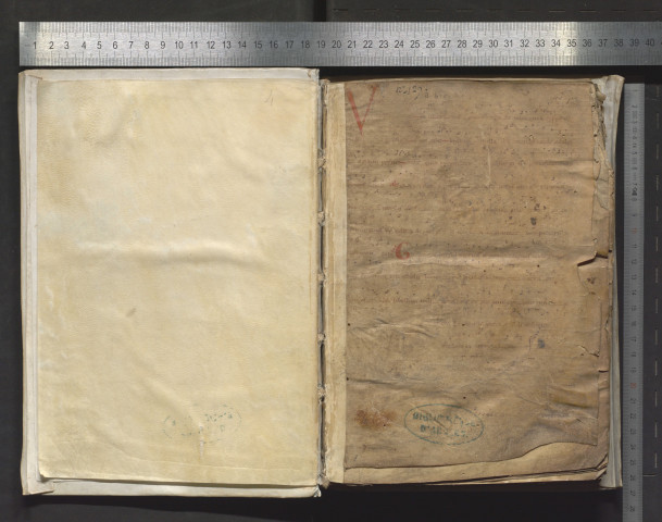 Graduel noté en neumes. Le début manque ; beaucoup de feuillets ont été transposés