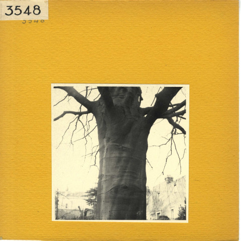 Angers : Square de Contades