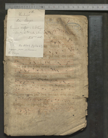 Fragment d'hymnes, proses et antiennes à la Sainte-Vierge (XIVe siècle)