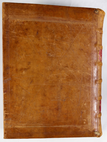 Bible latine, en deux volumes. [Volume 1]