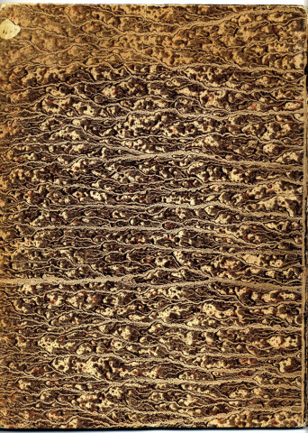 Preuves de noblesse faites au nom de Charles de Cherité, le 18 avril 1605, par-devant François de Marans, chevalier de l'ordre de Malte, commandeur de l'hôpital ancien d'Angers, et Olivier d'Escoublanc, aussi chevalier dudit ordre