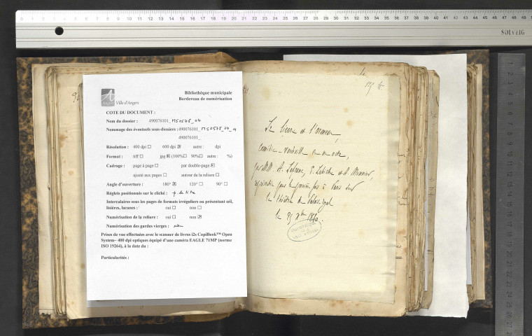 Le lierre et l'ormeau