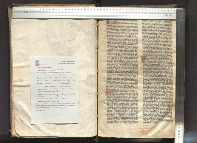 Gui de Baisio. Apparatus in Sextum