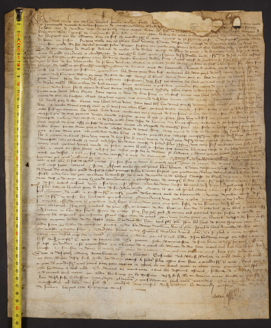 Vidimus d'un hommage prêté par Jean Boudeaux, bourgeois de Brie-Comte-Robert, gendre de feu Jean Malet, à Guillaume d'Harcourt, comte de Tancarville, vicomte de Melun, seigneur de Montreuil-Bellay pour un fief sis à Brie-Comte-Robert, enregistré au bailliage de Melun, le 14 février 1469 (a. st.)