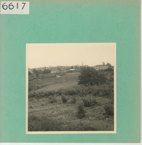 Anjou : Vignoble angevin