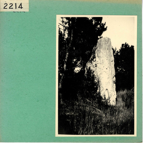 Le Thoureil : Menhir