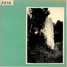 Le Thoureil : Menhir