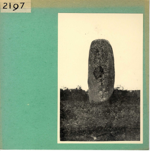 Saint Macaire en Mauges : Menhir de la Bretellière