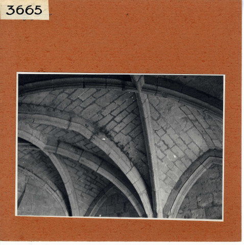 Montsoreau : Voûte de l'escalier