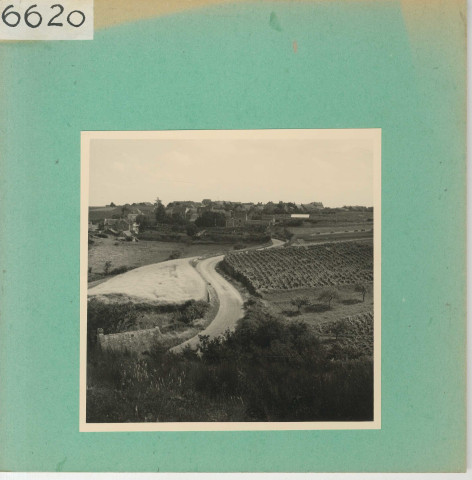 Anjou : Vignoble angevin