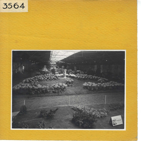 Angers : Exposition fleurs