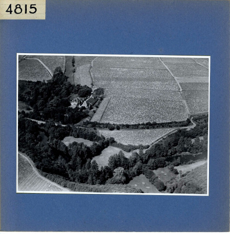 Rochefort-sur-Loire : Belle rive (vue aérienne)