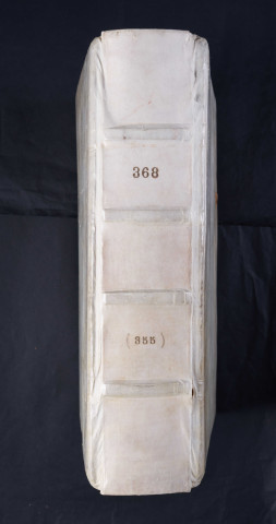 « Incipit liber Brucardi, episcopi nomine solo Marwortiensis (sic). Multis jam sepe diebus... »