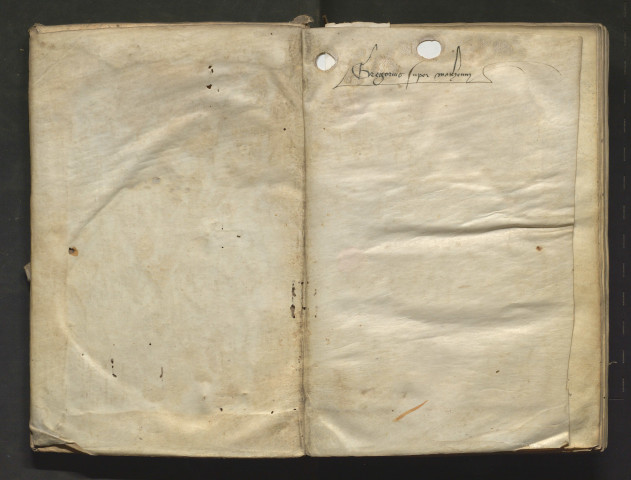 S. Grégoire. Homélies sur les Évangiles, au nombre de 40