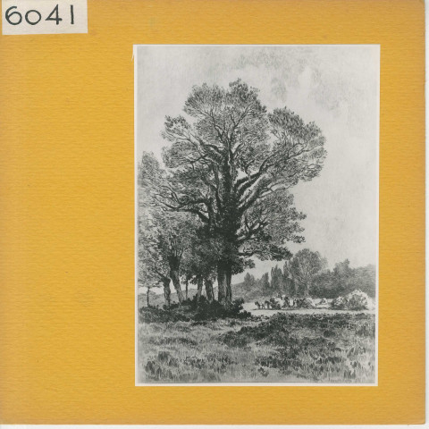 Le Louroux-Béconnais : La Mornais