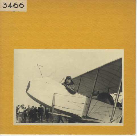 Angers : Vol, prairie de l'Abattoir