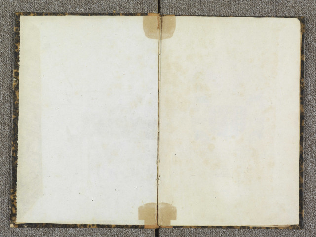 "La racine et extraxion de la noble maison de Blois, le tout recueilli et mis en perpétuel mémoire, extrait du livre de Jacque le Boucq, demeurant à Vallenciennes, l'an 1600"